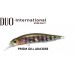 DUO REALIS ROZANTE 77SP